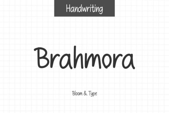 Brahmora Review: A Designer’s Take on This Script Amp