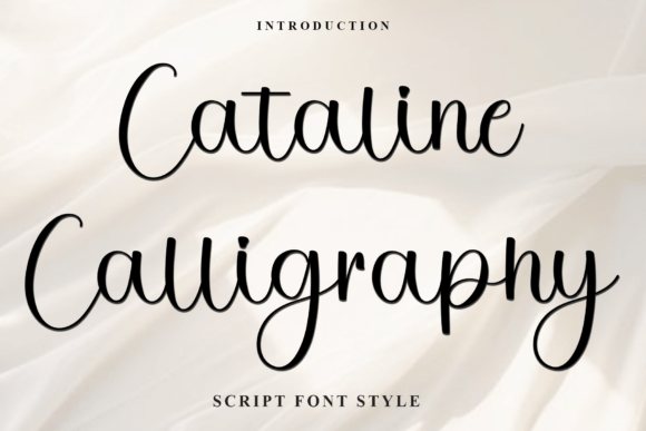 Cataline Calligraphy: A Festive Typeface for Holiday Branding